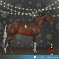 Horse Color:Silver Brown Tobiano 
