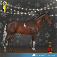 Horse Color:Silver Brown Tobiano 