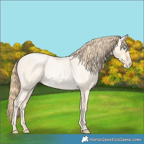 Horse Color:Buckskin Roan Pearl and Buckskin Roan Pearl