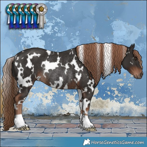Horse Color:White Spotted Liver Chestnut Rabicano 