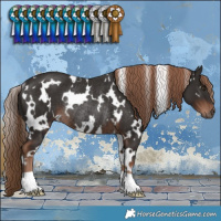 Horse Color:White Spotted Liver Chestnut Rabicano 