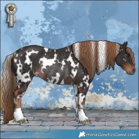 Horse Color:White Spotted Liver Chestnut Rabicano