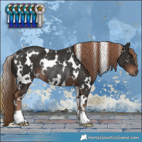 Horse Color:White Spotted Liver Chestnut Rabicano 