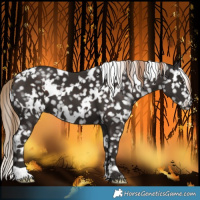 Horse Color:White Spotted Liver Chestnut Snowflake Varnish 
