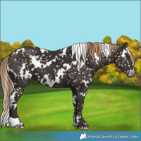 Horse Color:White Spotted Liver Chestnut Snowflake Varnish 