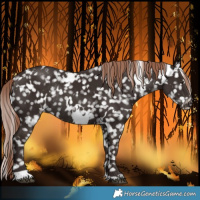 Horse Color:White Spotted Liver Chestnut Snowflake Varnish Rabicano 