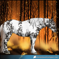 Horse Color:White Spotted Liver Chestnut Snowflake Varnish Rabicano 