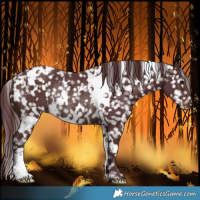 Horse Color:White Spotted Chocolate Brown Snowflake Varnish Rabicano 