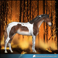 Horse Color:Liver Chestnut Tobiano Rabicano 