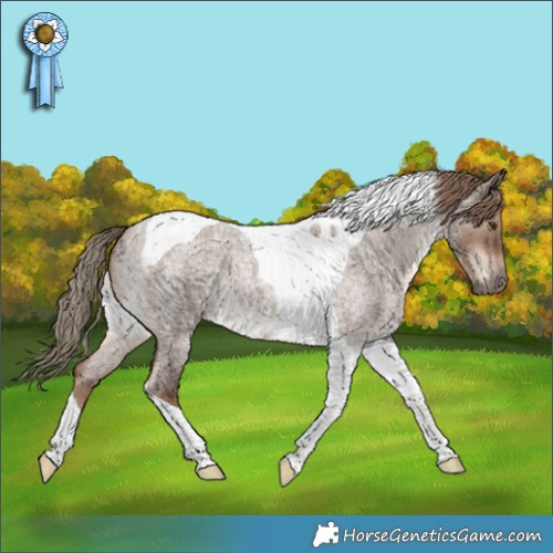 Horse Color:Liver Red Dun Roan Tobiano 