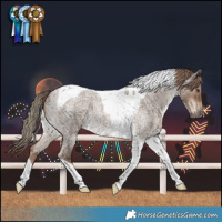 Horse Color:Liver Red Dun Roan Tobiano 