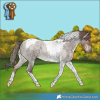 Horse Color:Liver Red Dun Roan Tobiano 