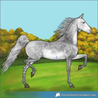 Horse Color:Silver Buckskin Chinchilla Ice 