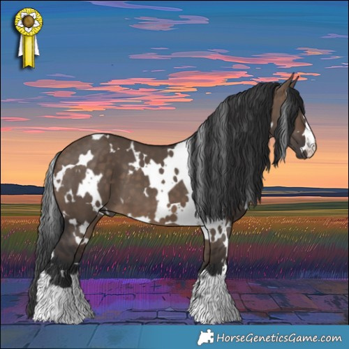 Horse Color:White Spotted Brown Dun 