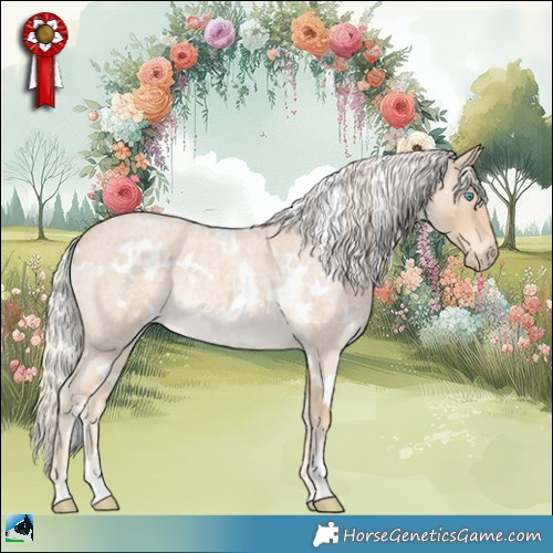 Horse Color:White Spotted Cremello Roan 