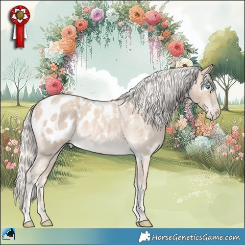 Horse Color:White Spotted Cremello Roan Appaloosa 