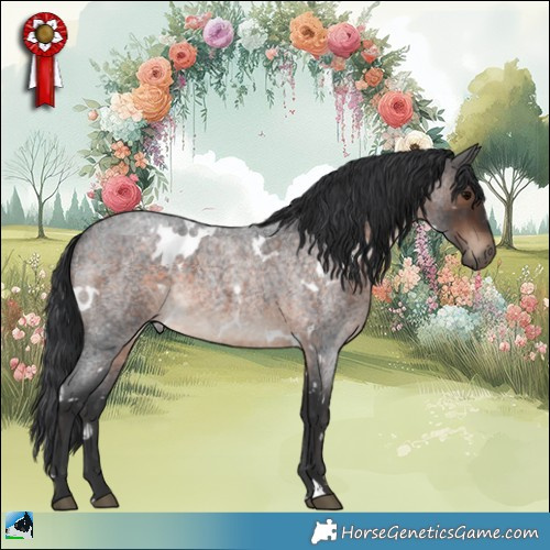 Horse Color:White Spotted Brown Roan 