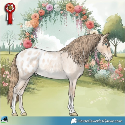 Horse Color:Perlino Roan Tobiano Appaloosa 