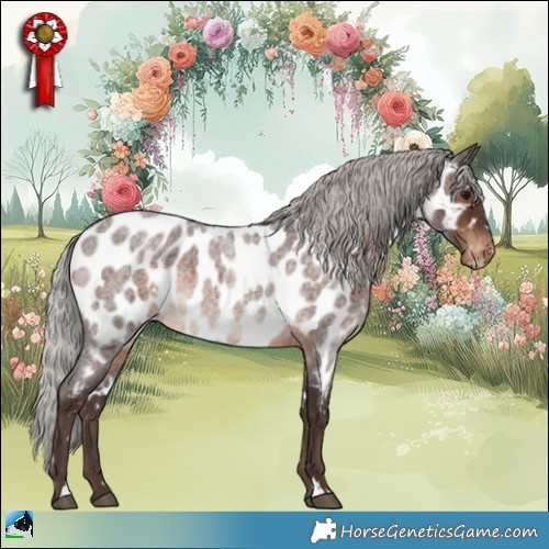Horse Color:White Spotted Silver Brown Roan Appaloosa 
