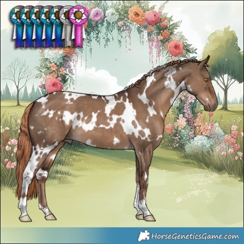 Horse Color:White Spotted Liver Red Dun 