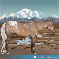 Horse Color:White Spotted Silver Bay Dun Varnish 