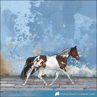 Horse Color:White Spotted Liver Chestnut Tobiano 