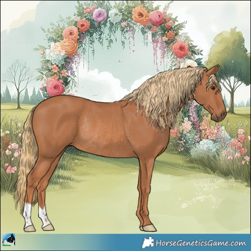 Horse Color:Chestnut Rabicano 