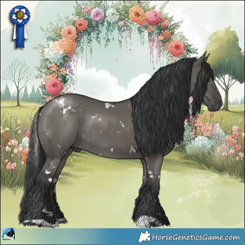 Horse Color:White Spotted Grullo Rabicano 