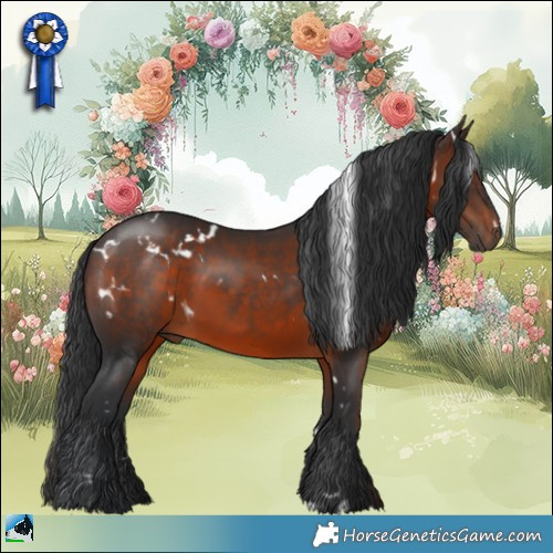 Horse Color:White Spotted Brown Rabicano 