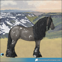 Horse Color:White Spotted Grullo Rabicano