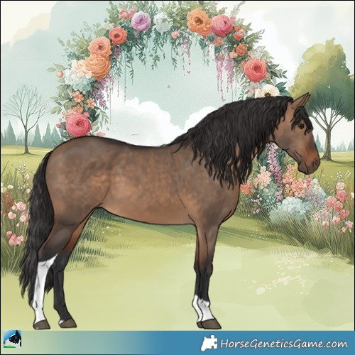 Horse Color:Bay Dun Tobiano 