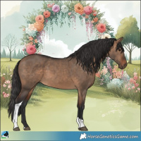 Horse Color:Bay Dun Tobiano 