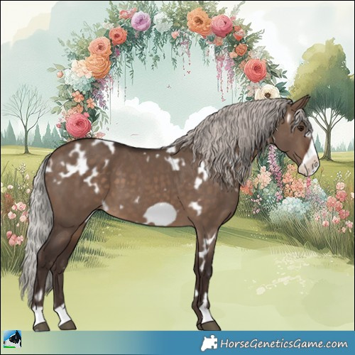 Horse Color:White Spotted Silver Brown Dun Frame 