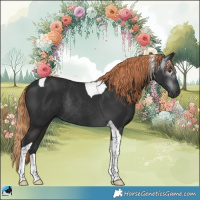 Horse Color:Gray Liver Chestnut Tobiano Rabicano 