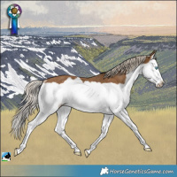 Horse Color:Chocolate Palomino Splash Frame Rabicano 