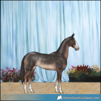 Horse Color:Liver Chestnut Rabicano