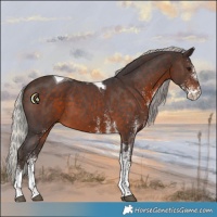 Horse Color:White Spotted Silver Brown Tobiano
