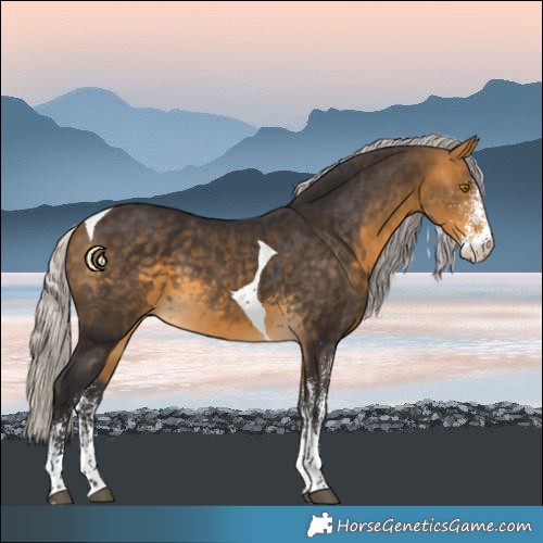 Horse Color:White Spotted Silver Buckskin Tobiano 