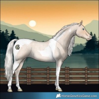 Horse Color:Silver Smoky Creme Roan Tobiano