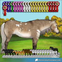 Horse Color:Gray White Spotted Silver Brown Dun Brindle 