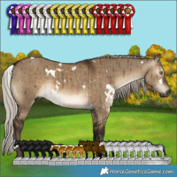 Horse Color:Gray White Spotted Silver Brown Dun Brindle