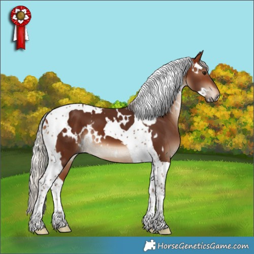 Horse Color:White Spotted Silver Brown Tobiano 