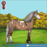 Horse Color:White Spotted Silver Bay Dun Sabino