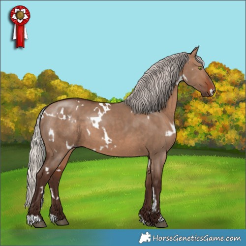 Horse Color:White Spotted Silver Brown Dun 