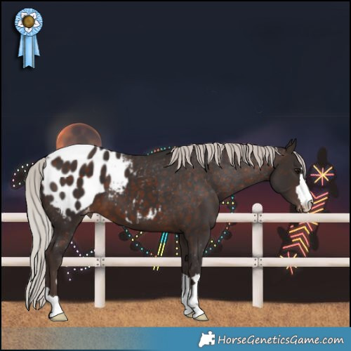 Horse Color:Silver Brown Blanket 