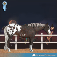 Horse Color:Silver Brown Blanket 