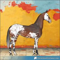 Horse Color:Bay Splash Blanket 