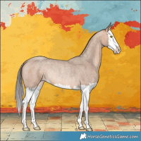 Horse Color:Amber Champagne Roan Splash Rabicano