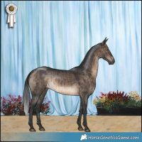 Horse Color:Brown Dun Rabicano Brindle 
