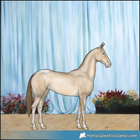 Horse Color:Smoky Black Pearl Rabicano 